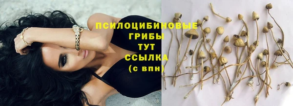 мет Белая Холуница