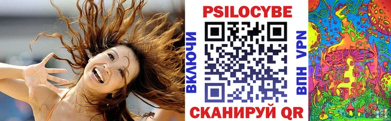 Галлюциногенные грибы Psilocybe  Канск 