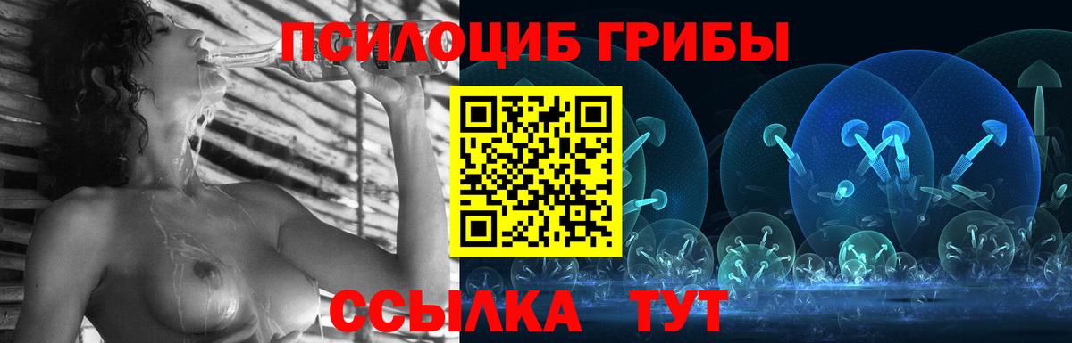 Галлюциногенные грибы мухоморы  Псилоцибиновые грибы мицелий  Канск  Вход с VPN 