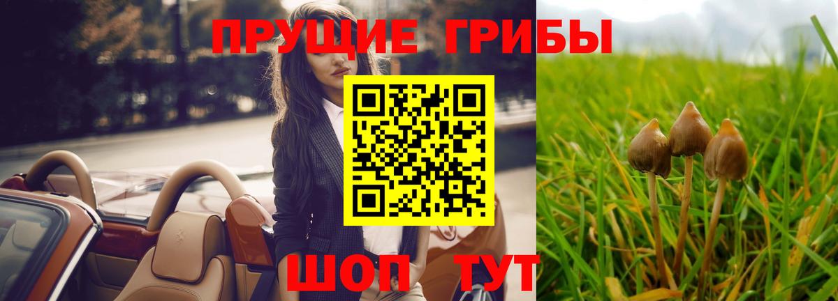 Галлюциногенные грибы ЛСД Канск